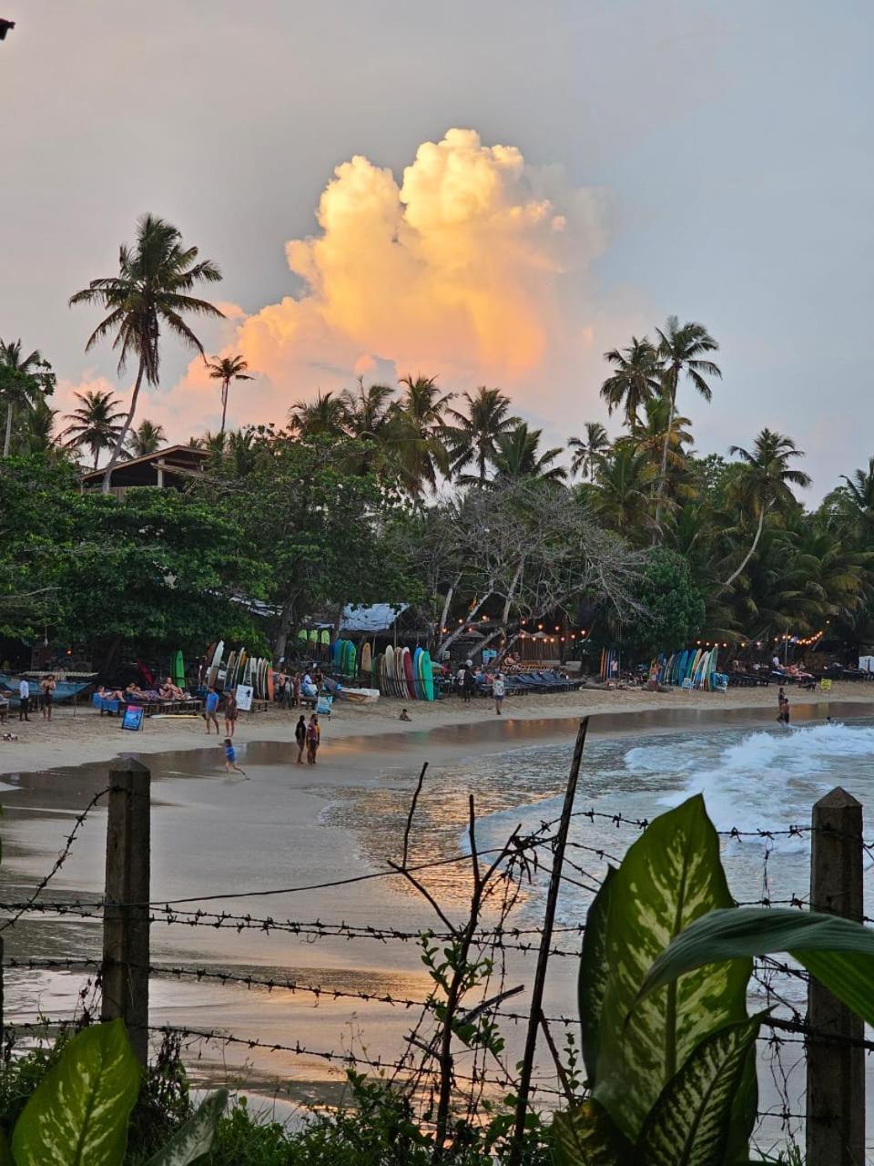 Muthu Sea View Hiriketiya Hotel Dikwella Bagian luar foto